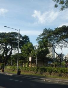 Makati Park and Garden
