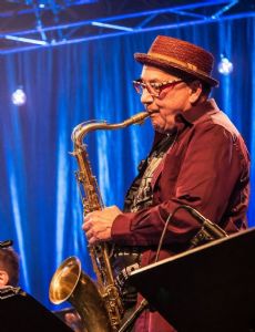 Harry Sokal (musician)