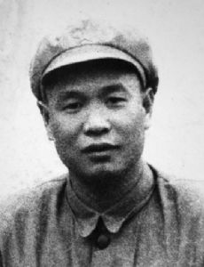 Fan Ming