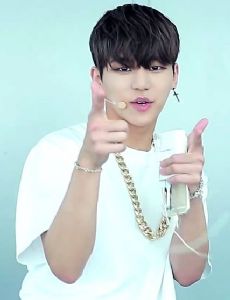 Kang In-soo