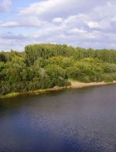 Cheptsa River