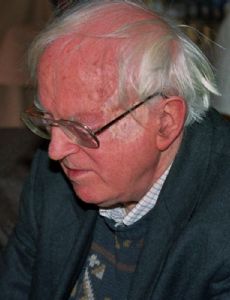 Robert Wade (chess player)