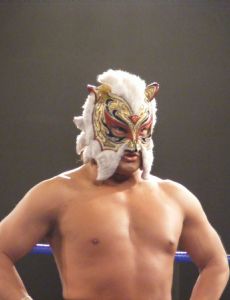 Super Shisa