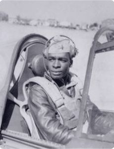 Paul Adams (pilot)