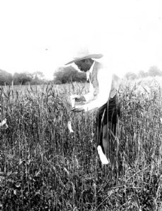 Mark A. Carleton