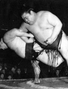 Mitsuneyama Hokoku