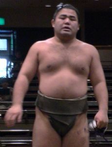 Satoyama Kosaku