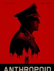 Anthropoid