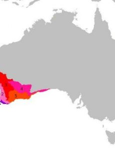Southwest Australia (ecoregion)