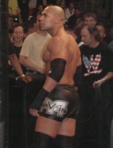 Maven Huffman