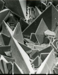 Weddellite