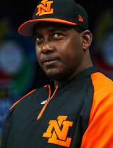 Hensley Meulens