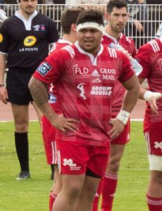Toki Pilioko