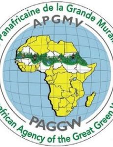 Great Green Wall (Africa)