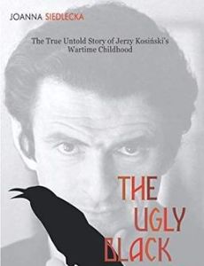 The Ugly Black Bird
