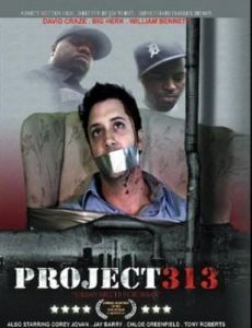 Project 313