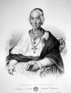 Vinzenz Eduard Milde