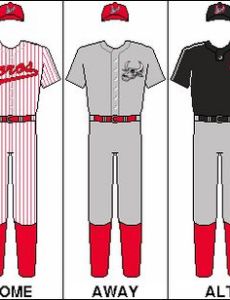 Bay Area Toros