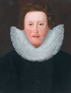 Henry Neville (politician)