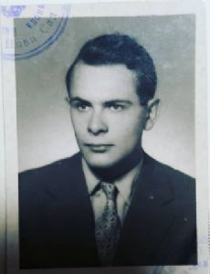 Vojislav Stanimirović (criminal)