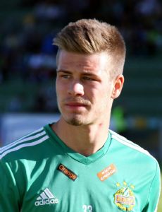 Dominik Starkl