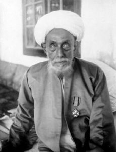 Habib Usman bin Yahya
