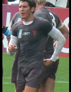 James Hook (rugby player)