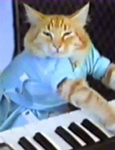 Keyboard Cat