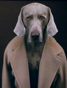 Fay Ray (Animal Actor)