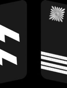 Sturmscharführer