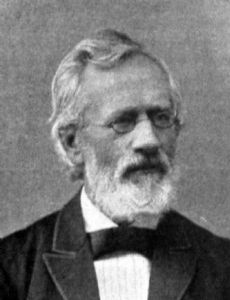 Gisle Johnson