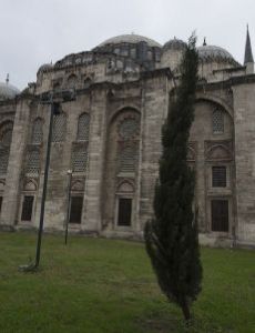 Şehzade Mahmud (son of Mehmed III)