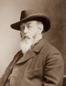 Carl Schäfer