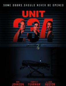 Unit 234