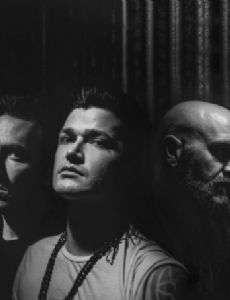 The Script