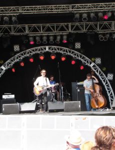 Great Lake Swimmers