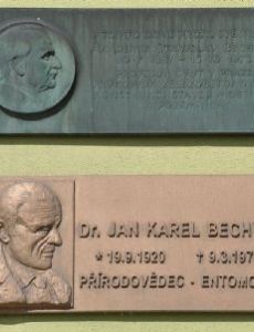 Jan Bechyné