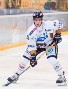 Vladimir Eminger