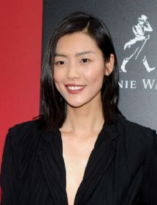 Liu Wen