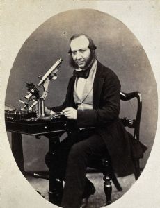 George Shadbolt
