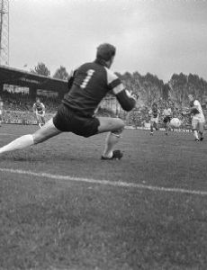 Harry Schellekens