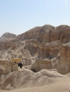 Al-Ahsa Oasis