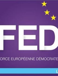 Democratic European Force