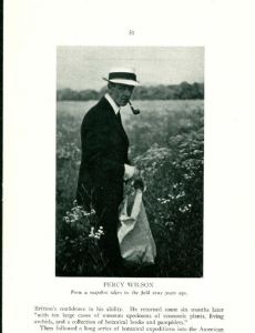 Percy Wilson (botanist)