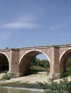 Arbia