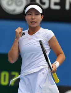Zheng Jie
