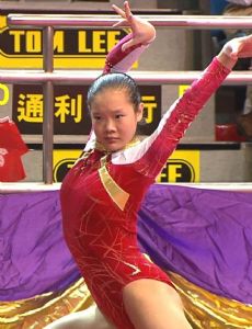 Cheng Fei