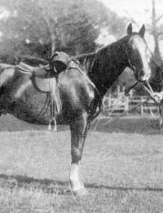 George Witton