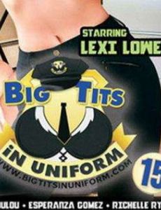 Big Tits in Uniform 15