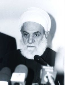 Mohammad Mehdi Shamseddine